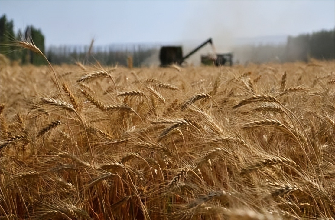 印度遇122年来极端高温,印度高温愈演愈烈气温突破50度