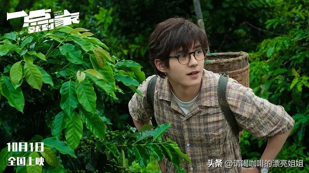 云南天皓庄园,云南天皓咖啡豆