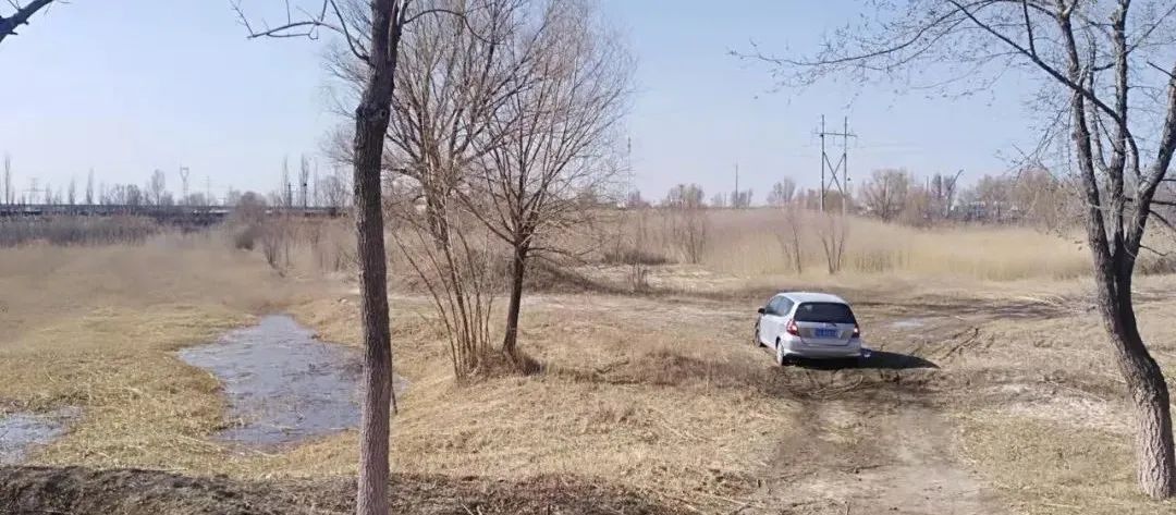 原创|2022迟到的春天之约