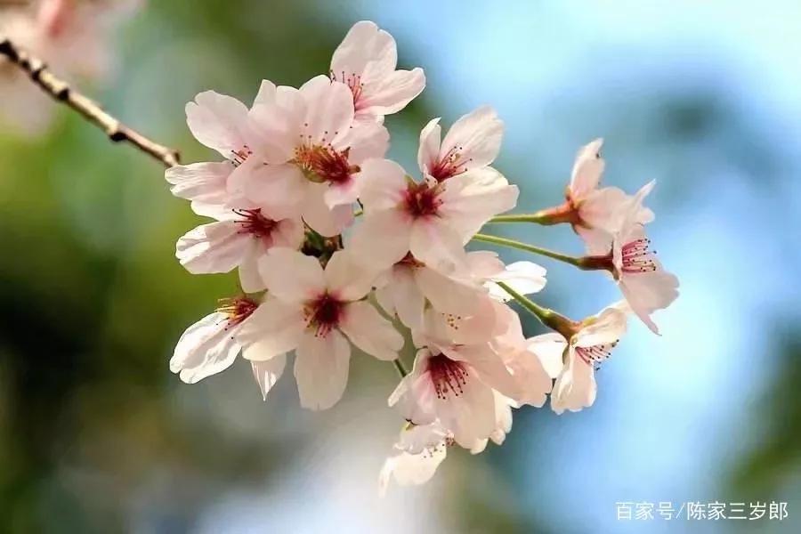 化妆品你不知道的智商税,化妆品智商税