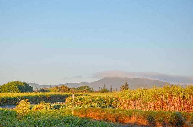 非洲的神奇岛屿毛里求斯，遥远的避世天堂，对中国免签