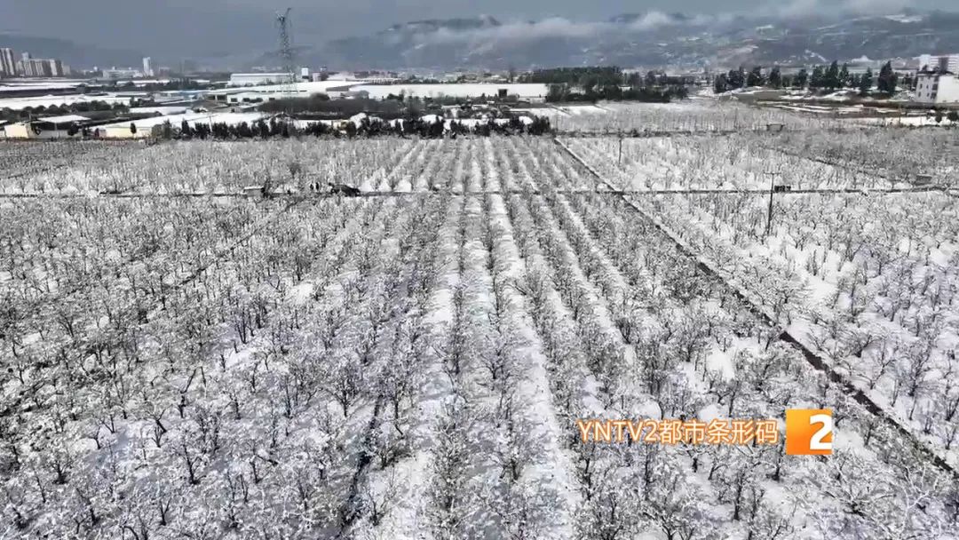 昆明今日迎来降雪图片,昆明迎来降雪高速路