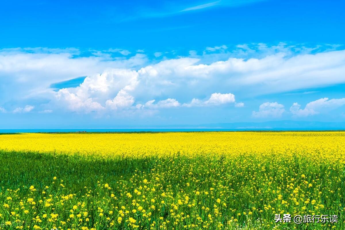 青海湖游览攻略自驾游,青海湖旅游攻略冬季景色