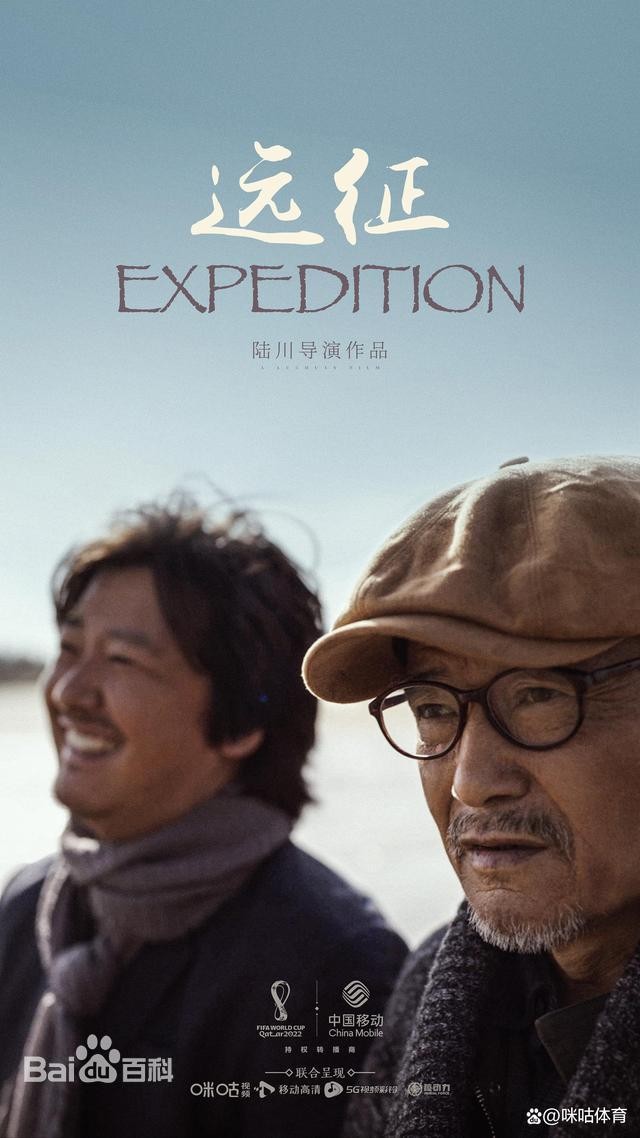 观足球赛有感400字作文,观足球赛有感