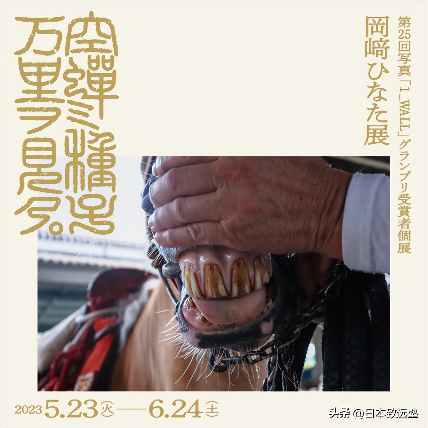 artfestival有什么活动一般在几月,artfestival活动