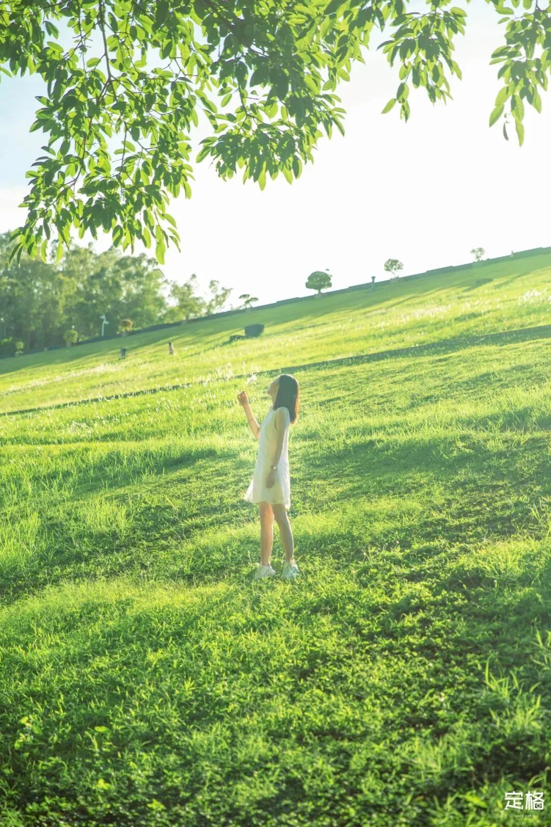 深圳10个小众打卡地,深圳十大免费打卡地