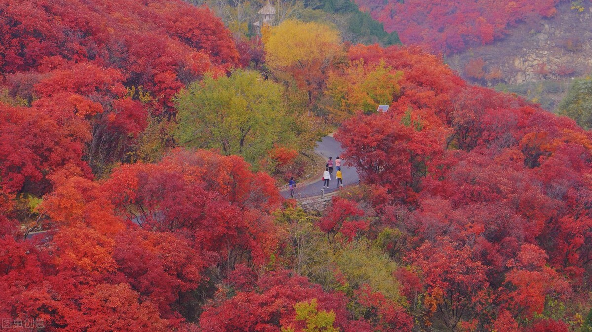 没想到济南的秋天竟然可以这样美,秋天济南哪个景区最美