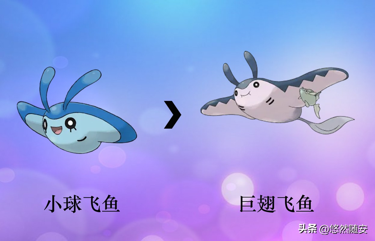 宝可梦伊布全部进化形态,宝可梦剑盾泪眼蜥进化形态