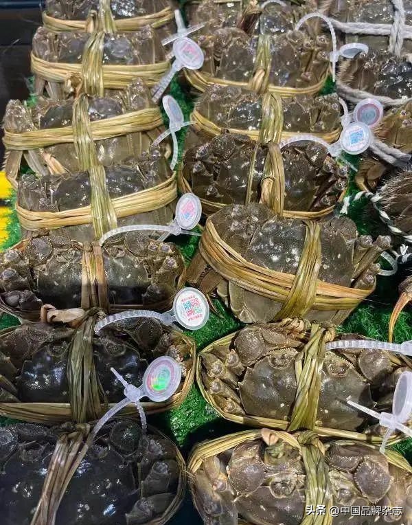 大闸蟹价格下降一半,大闸蟹价格下跌吗