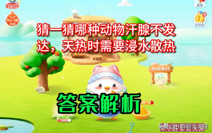 猜一猜哪种动物汗腺不发达,猜一下哪种动物没有汗腺