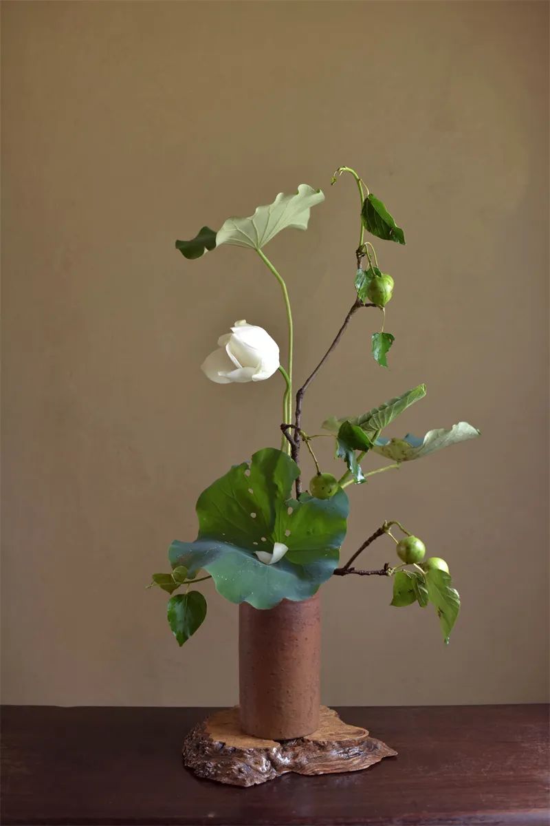 日本顶级禅意插花荷花,日式荷花插花