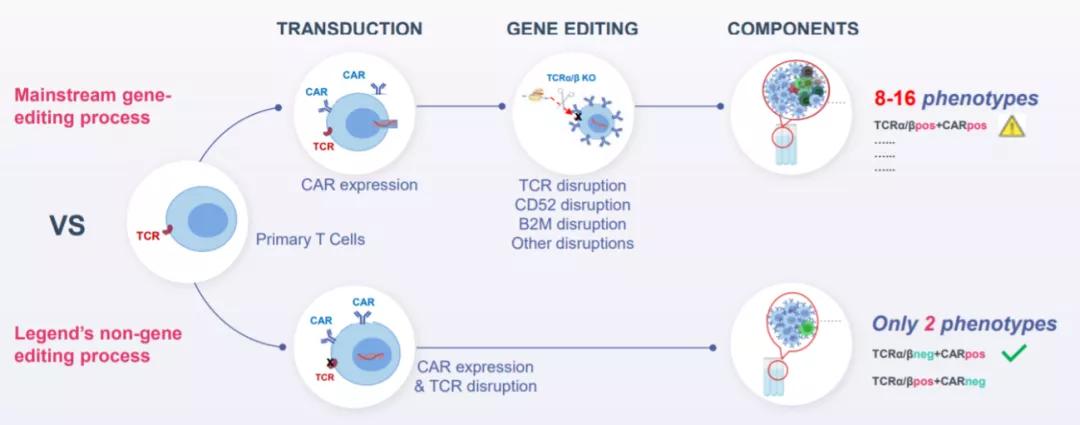 专访传奇生物：开发通用疗法，从根本上提高细胞疗法的可及性