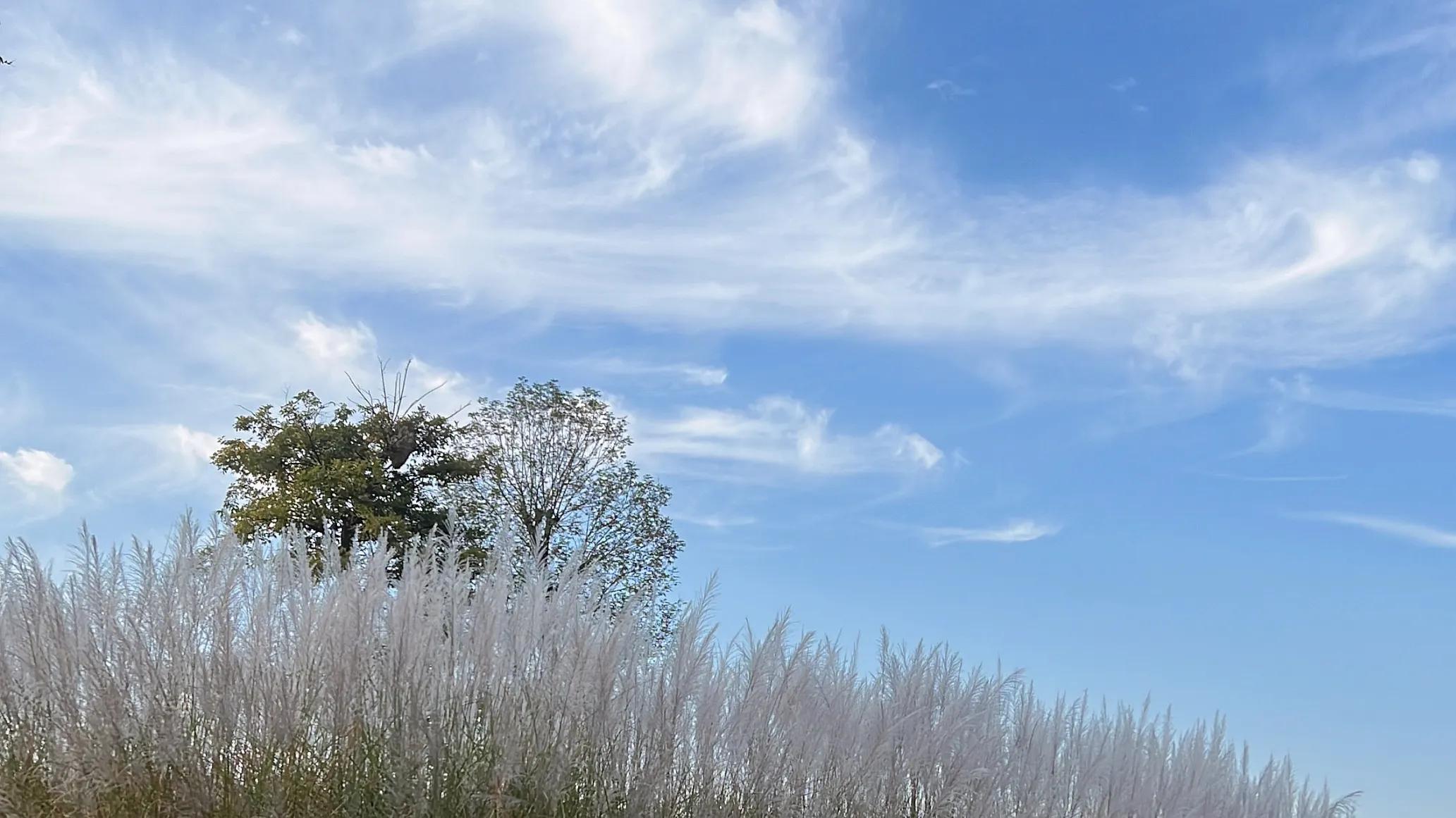 小孩子的睡颜,小儿睡觉的样子