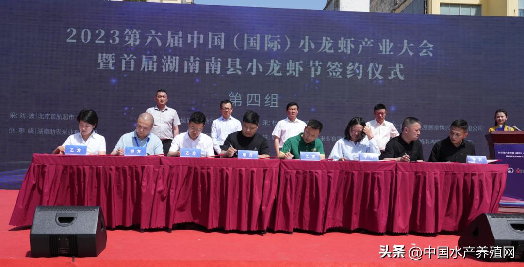 2023年南县小龙虾价格行情,南县小龙虾价格报价