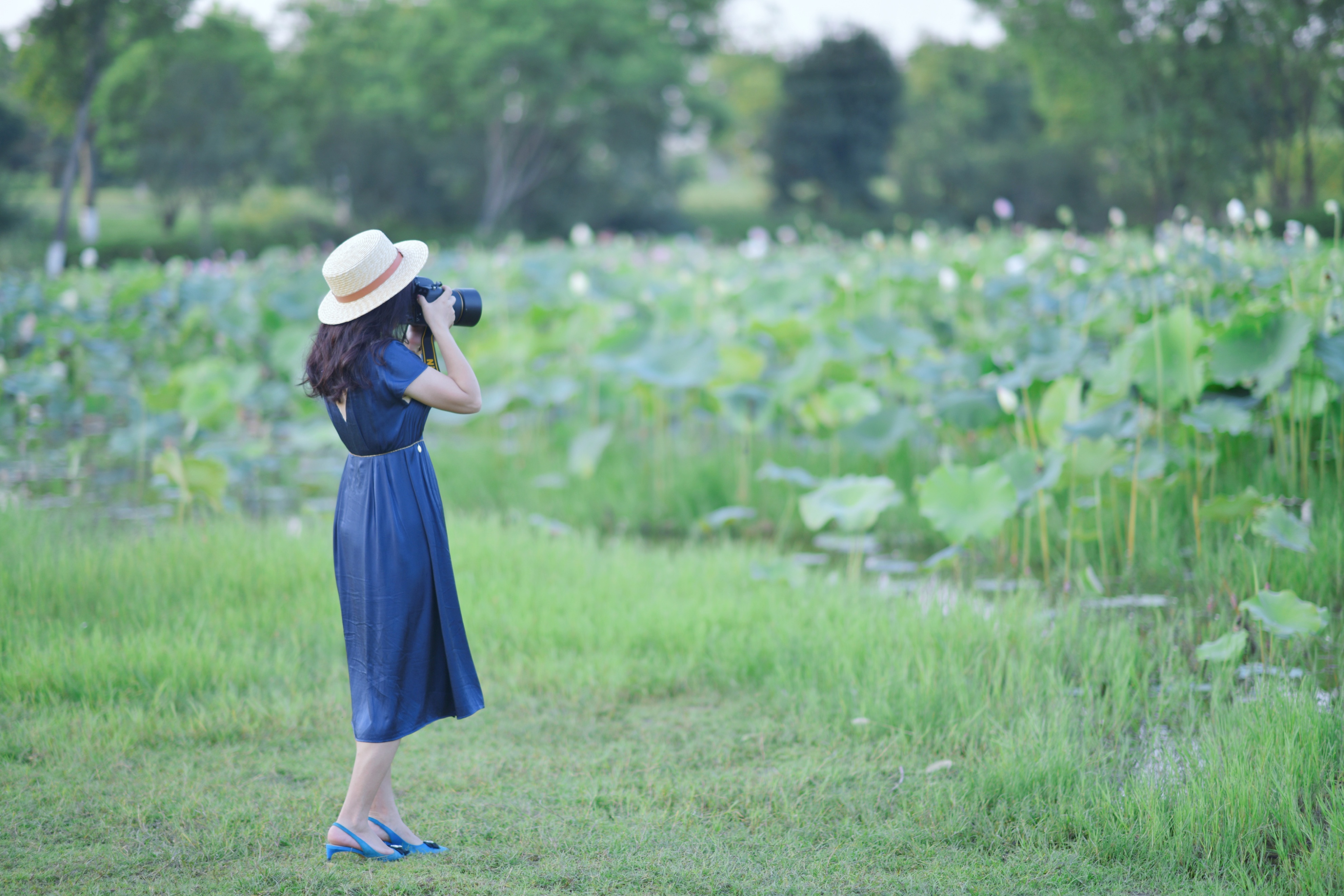 重庆市赏花胜地游玩线路,重庆渝北周边赏花地点推荐