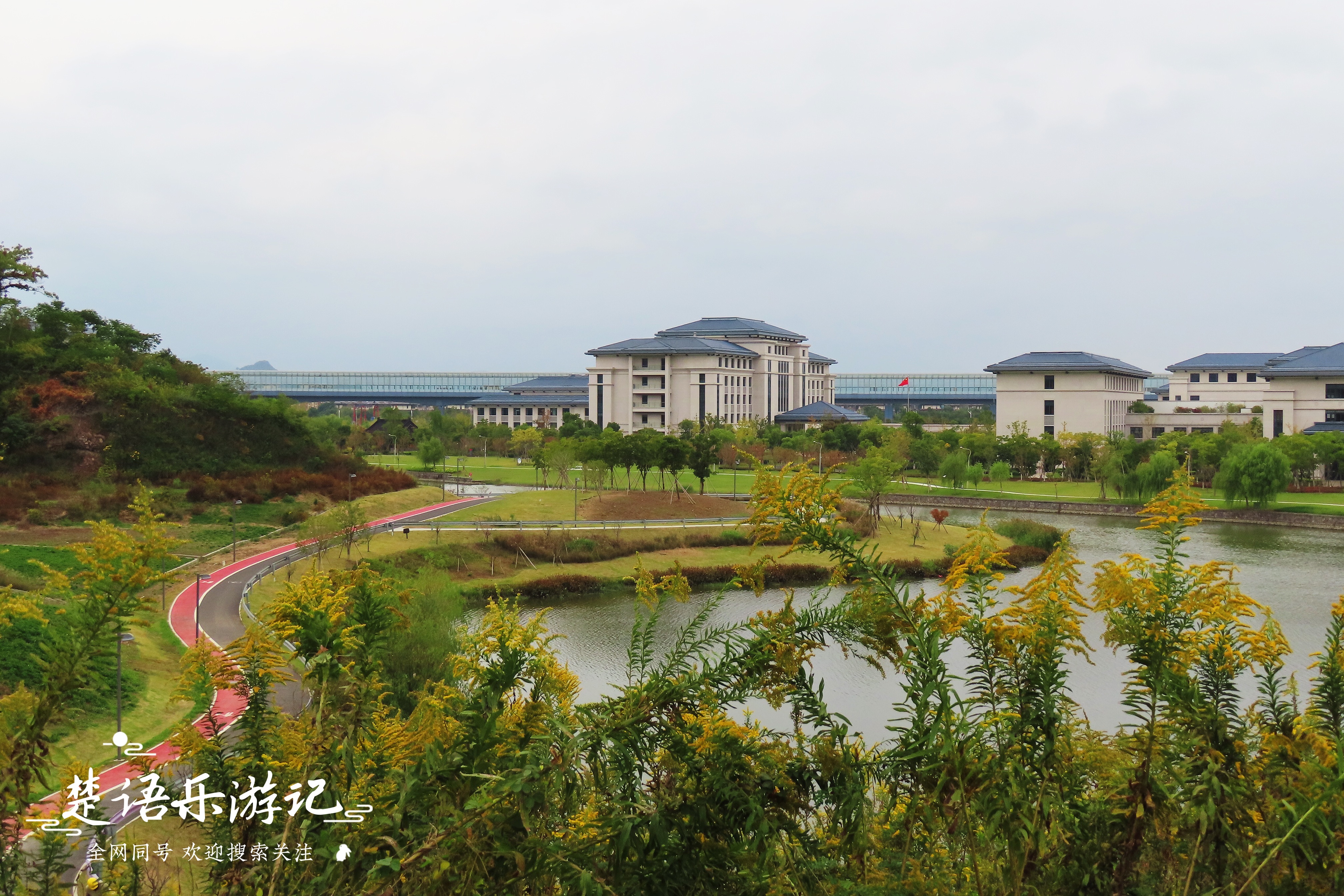 宁波附近粉黛花海,粉黛花海宁波
