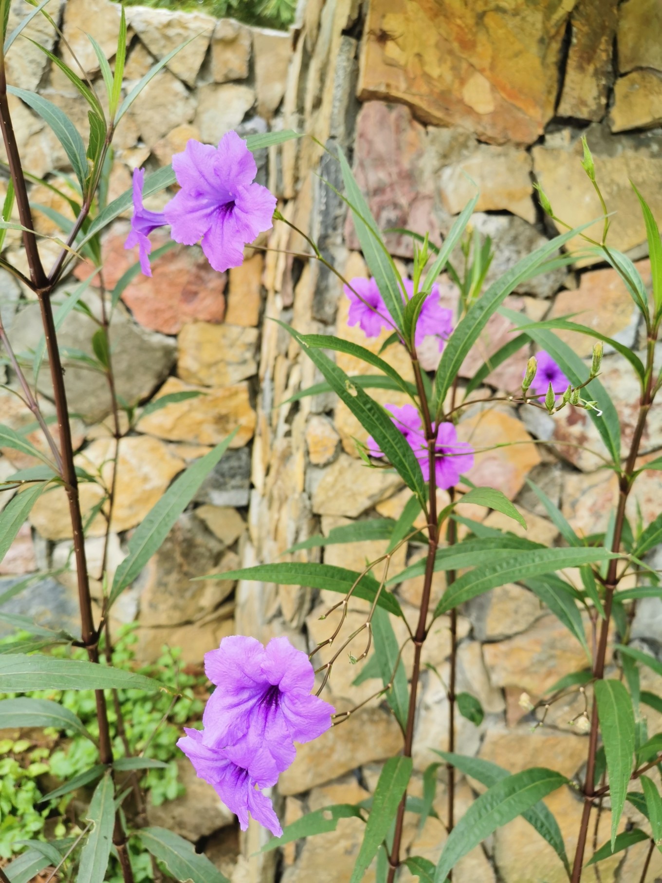 北海是一座令人向往的城市吗,北海是浪漫的城市