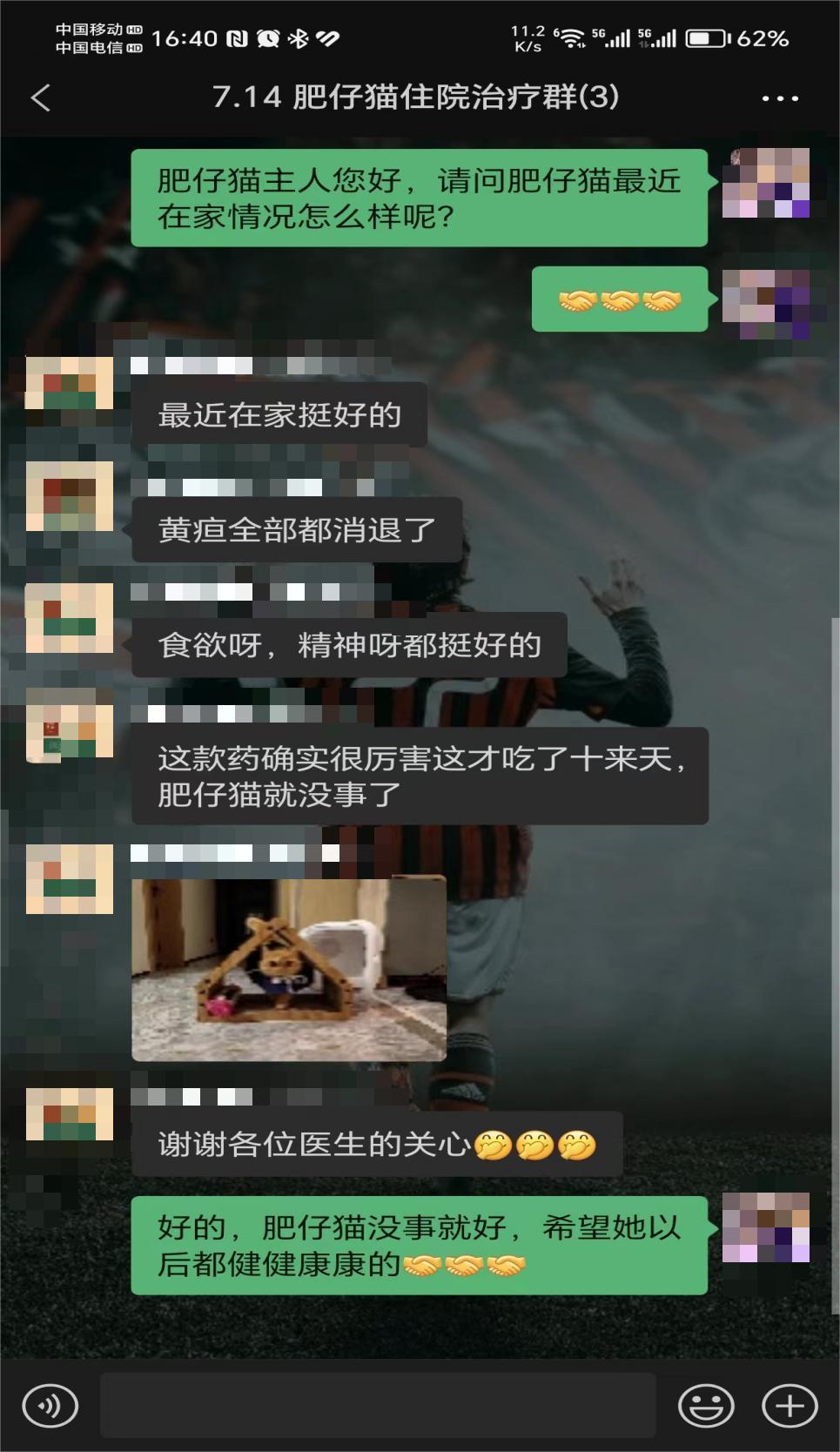 猫咪肝衰竭黄疸怎么治疗,大犬上吐下泻精神萎靡