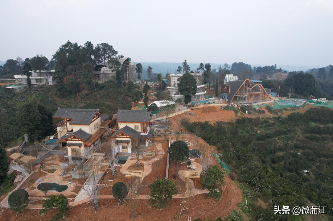 【一线在行动】云顶水乡田园综合体开足马力奏响“春日序曲”