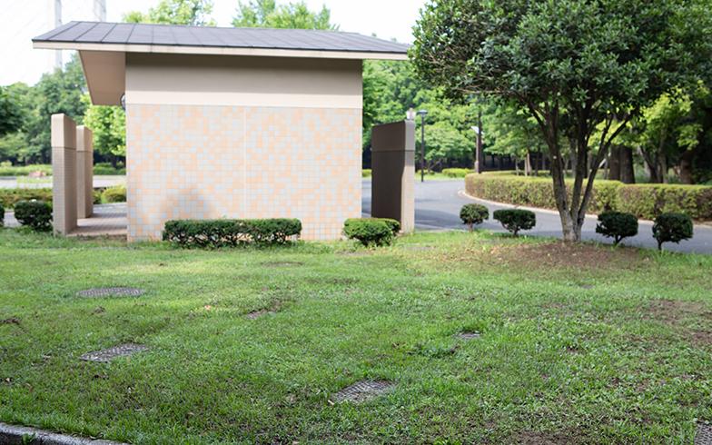 日本城市为什么那么干净,日本东京公园现状