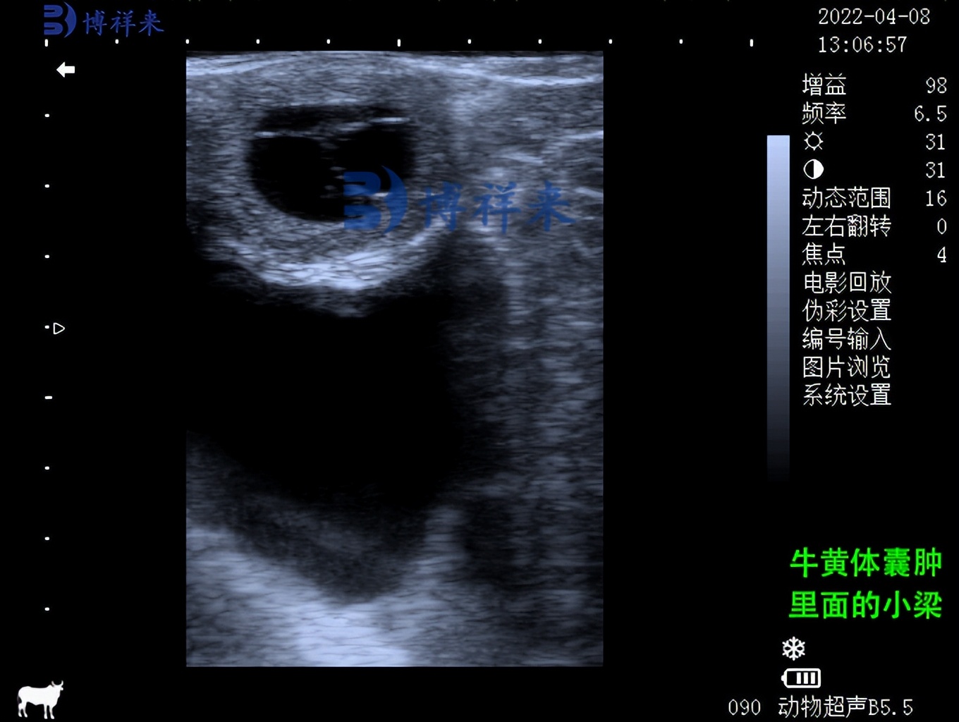 三一泵车油缸憋缸怎么处理,舜宇班长一个月工资多少