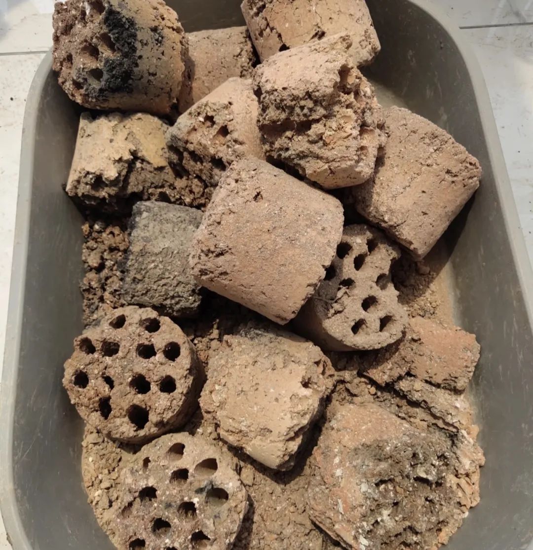 邻居扔垃圾屡教不改,邻居总是扔垃圾在花坛