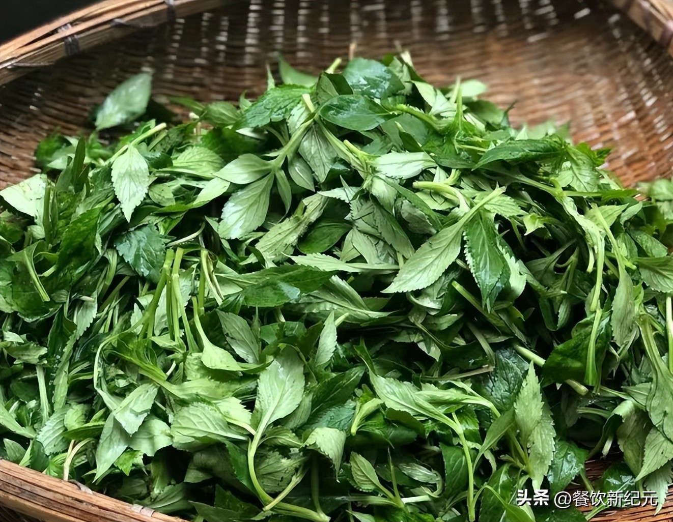 这菜是野菜中的“榴莲”，可惜很多人当草，随手一煮，营养又美味