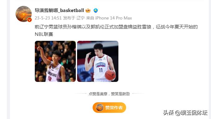 辽篮队员郭艾伦简历,篮球辽宁队成员郭艾伦