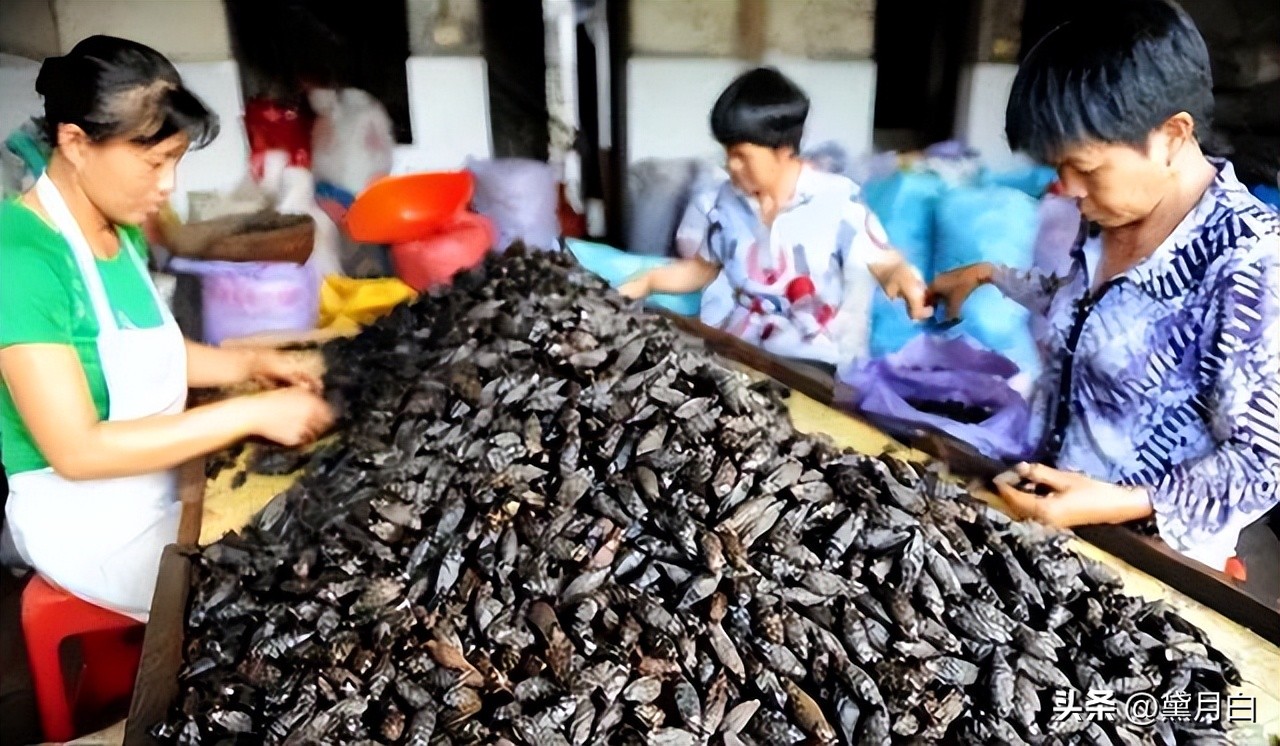 义乌永久下架槟榔，歌手傅松曾嚼槟榔6年患癌离世，生前脸部溃烂