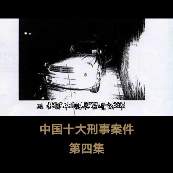 新中国十大刑事案件纪实全集,中国十大刑事案件电影