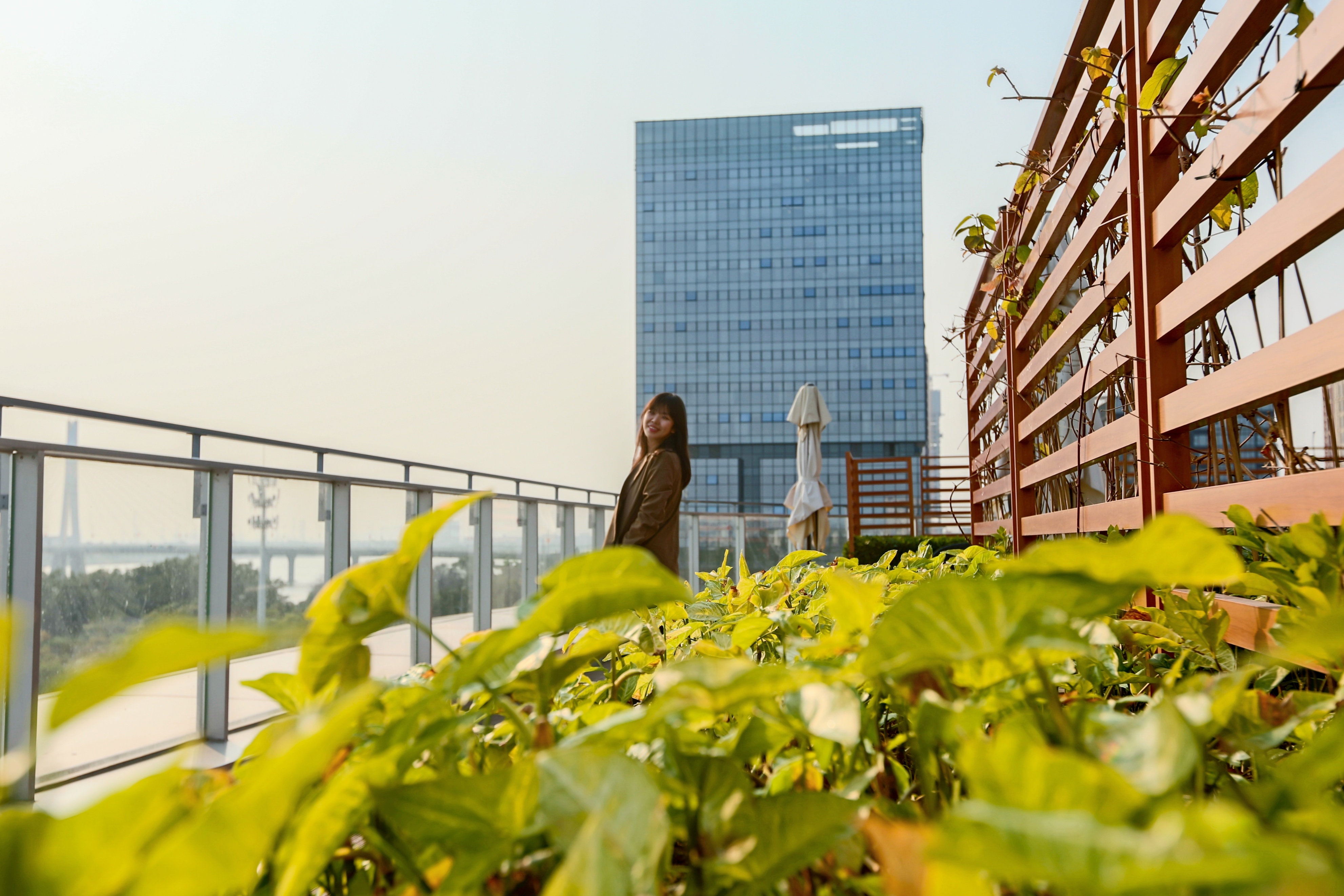 广州南沙金茂万豪酒店附近景点,广州南沙金茂万豪酒店怎么进去