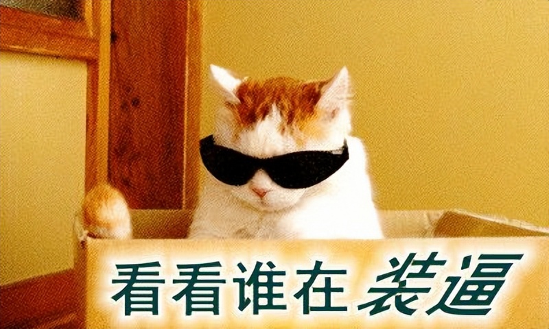 如何高效看论文文献,文献检索5分钟高效学习写论文