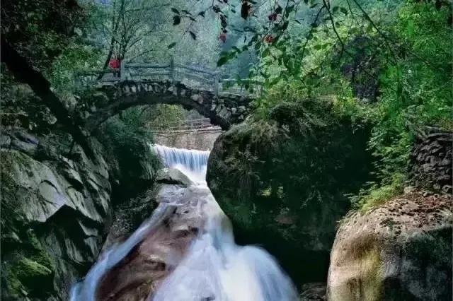 虎报恩全集视频,属虎报恩