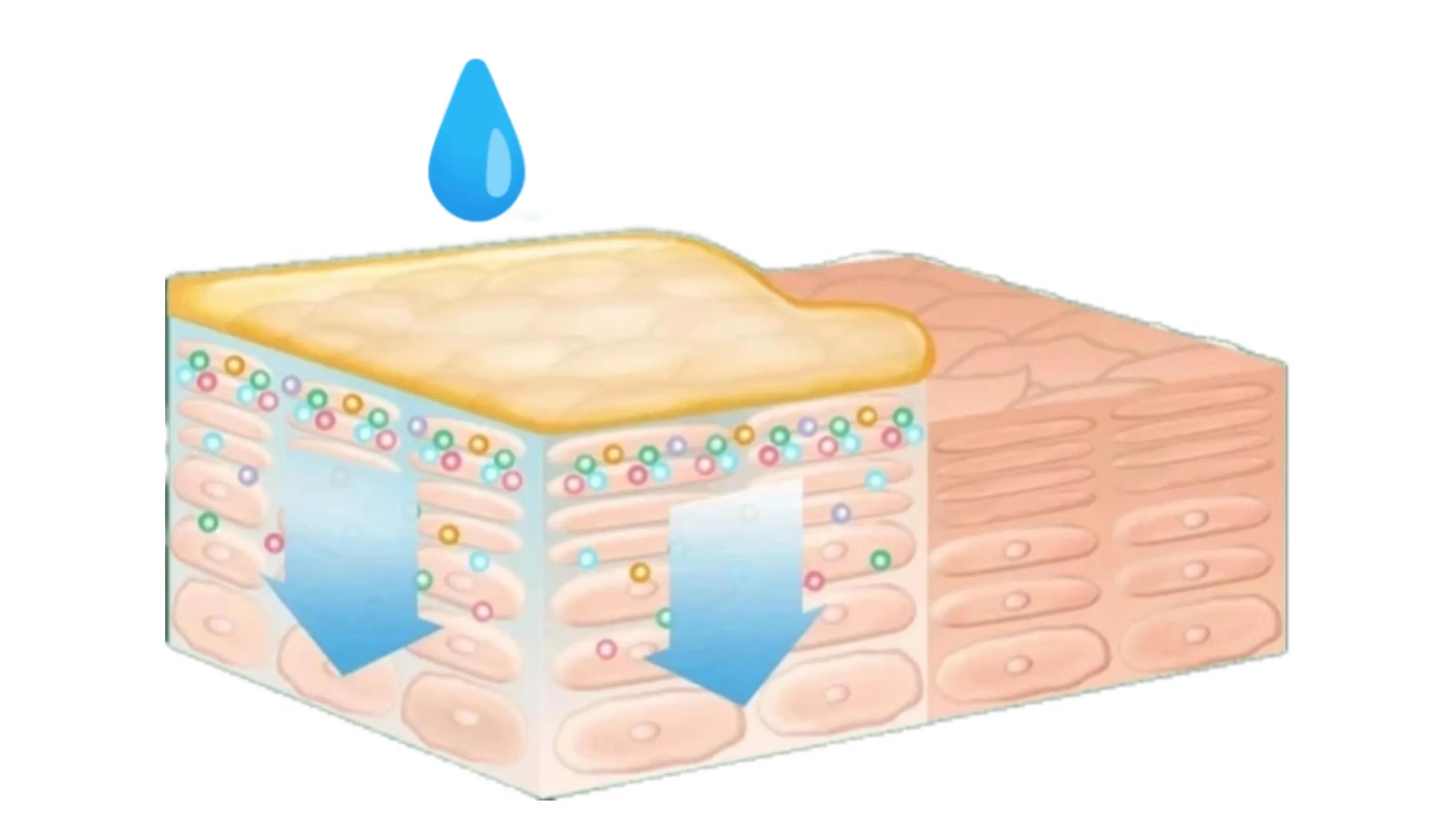 皮肤外干内油腻怎么护肤,皮肤外油内干怎么化妆