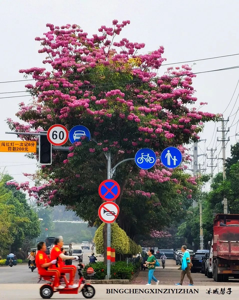 旅居海南,旅居式旅游生活海南