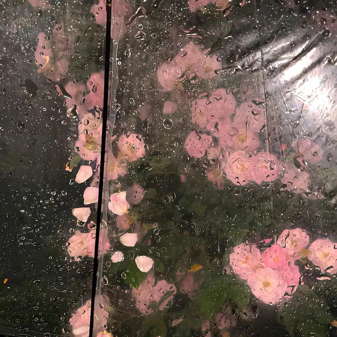 好运朋友圈背景图,勤劳致富背景图人民日报