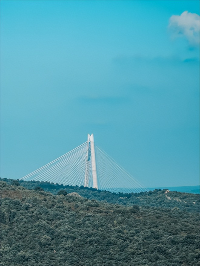 文献检索实用教程题库及答案,文献检索内部教程