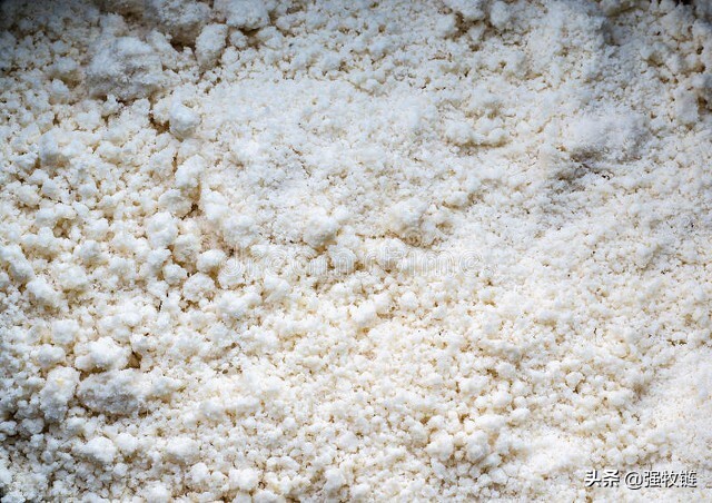 饲料太贵用什么养鸡,饲料太贵还能养猪吗