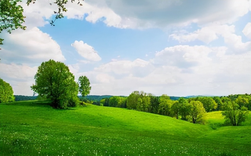 成年人的情绪实在莫名其妙,成年人的情绪总是见不得人