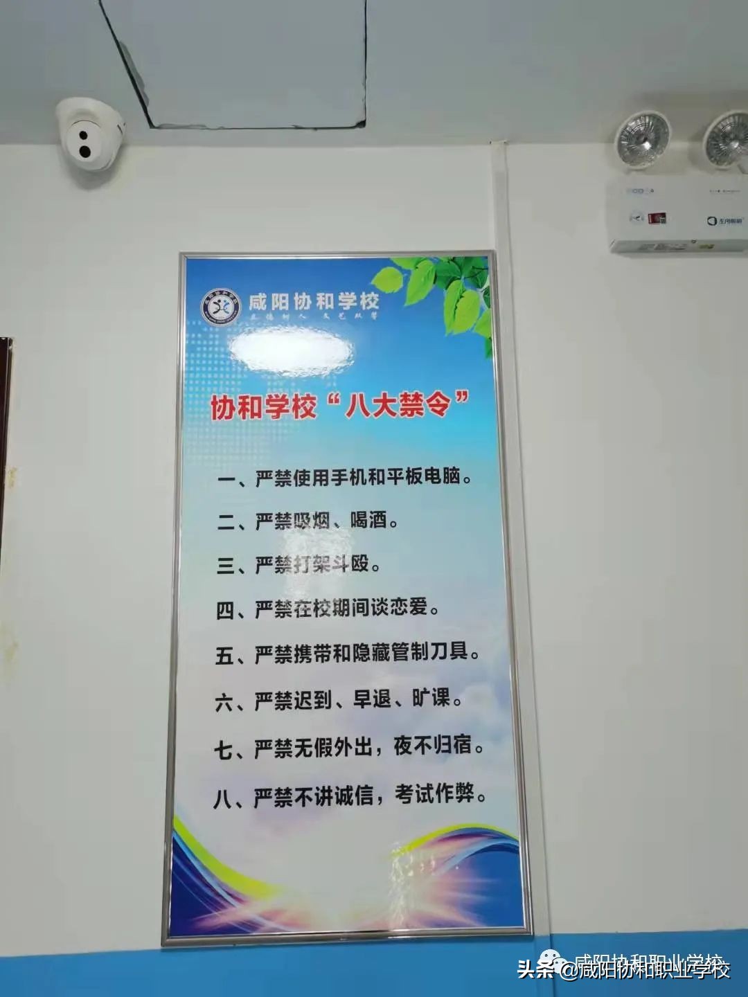 选择协和的“10大理由”