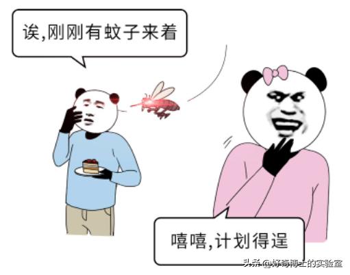 为什么蚊子只盯着你咬？有这几个特点的人，夏天要当心了！