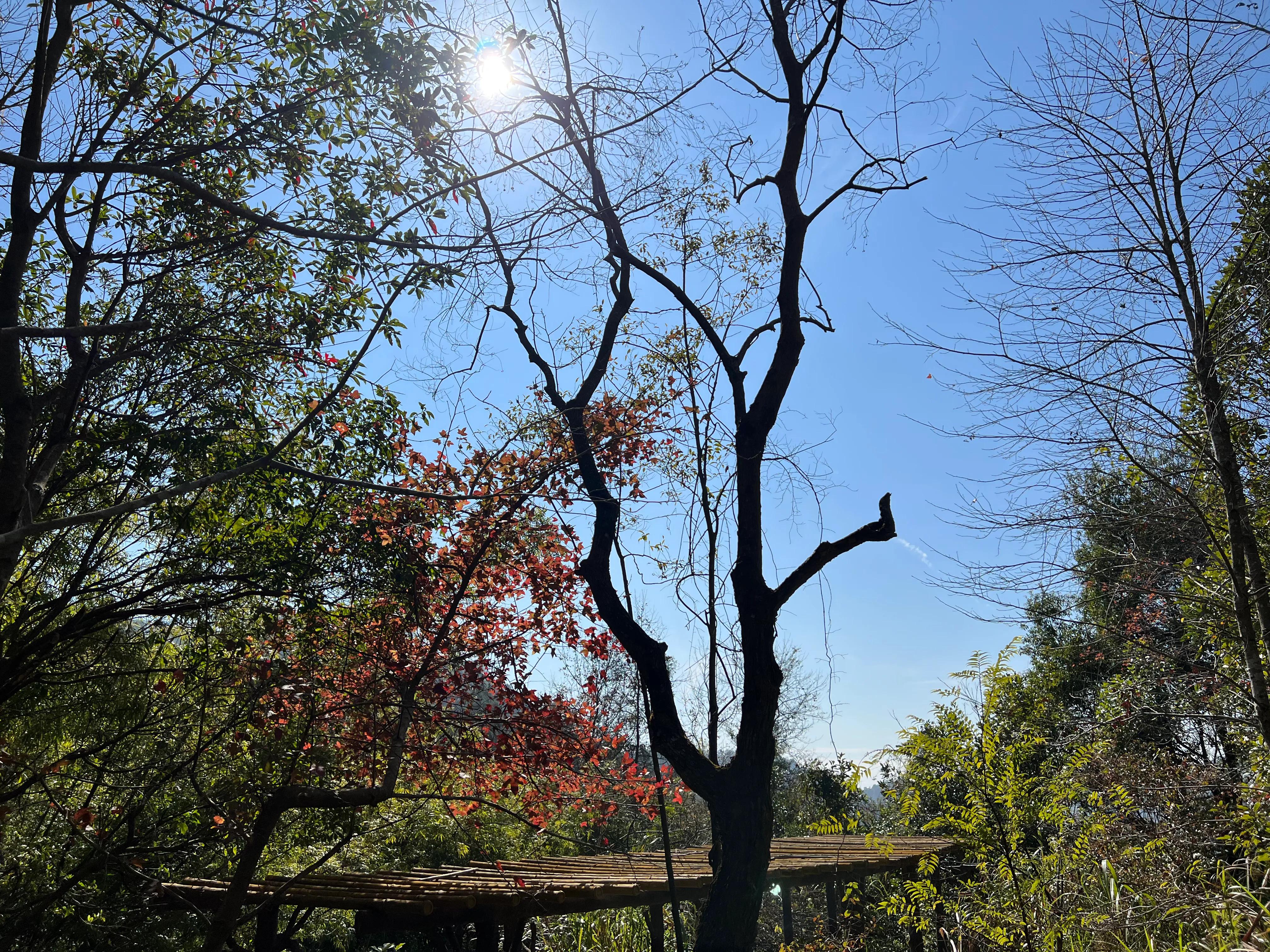 韶关新丰云髻山介绍,广东新丰云髻山旅游攻略