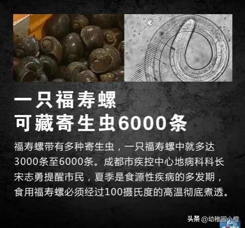 女子体内排出4米长绦虫是什么,宁德女子体内排出4米长绦虫