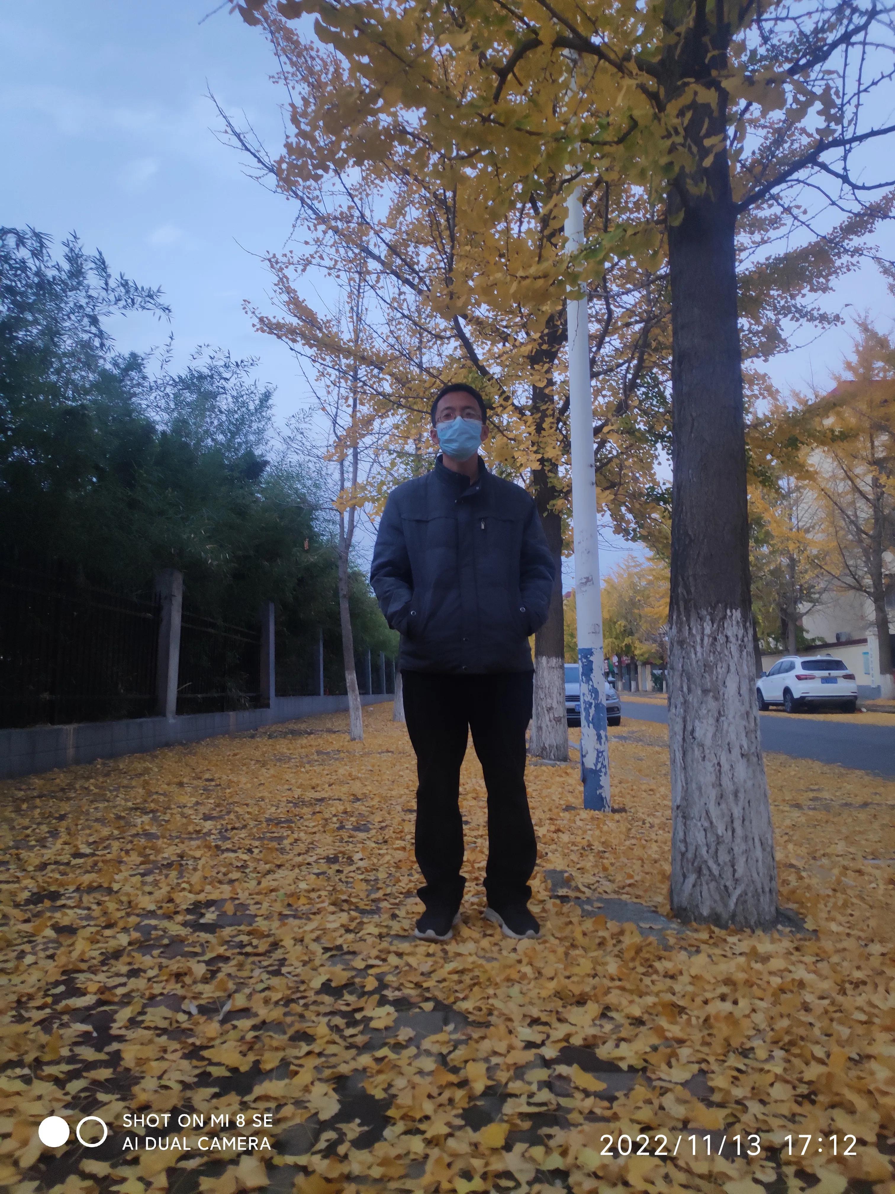 解封帖,解封记录怎么查