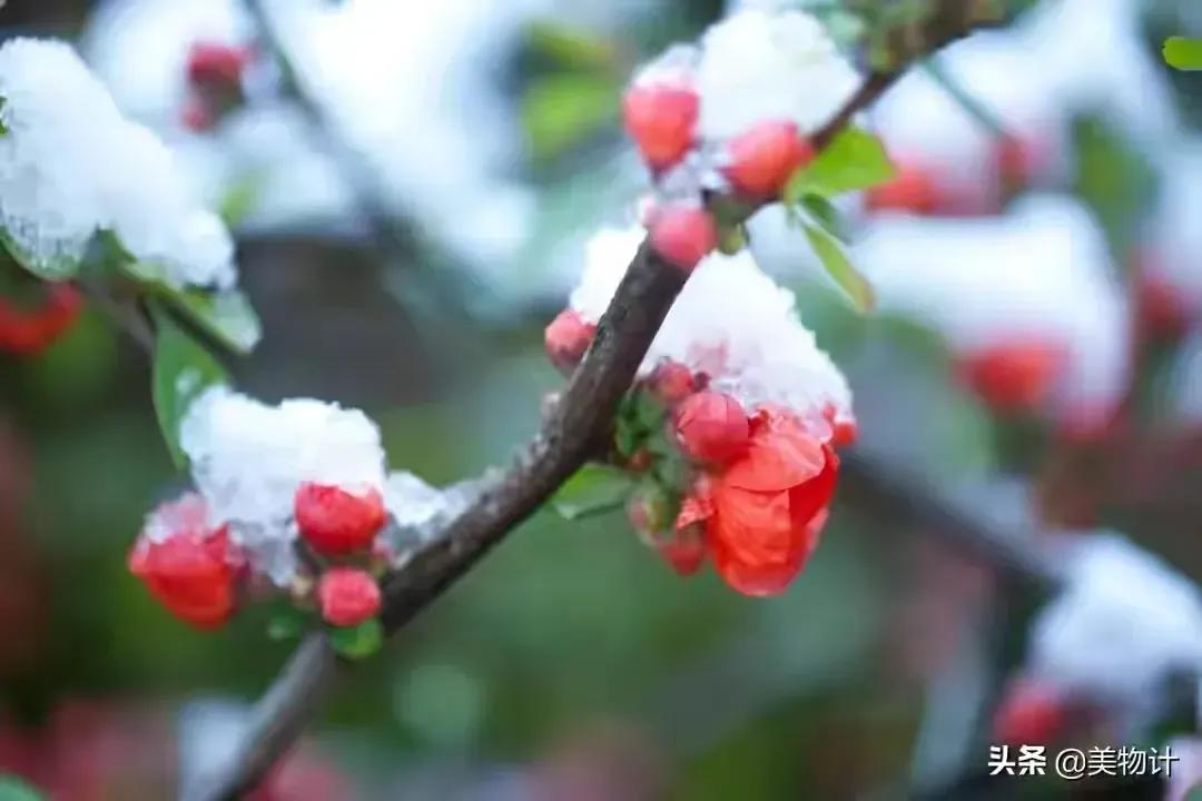 情感故事1：加油！于桐