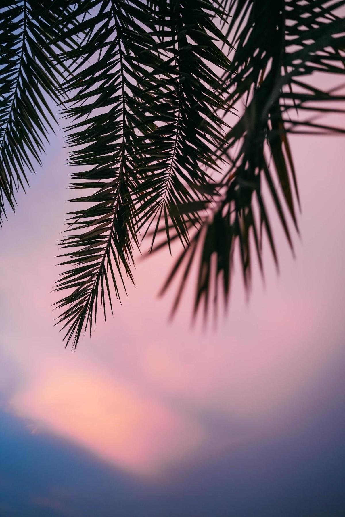 炎炎夏日，踏浪而来，赶赴一场和海南的约“惠”