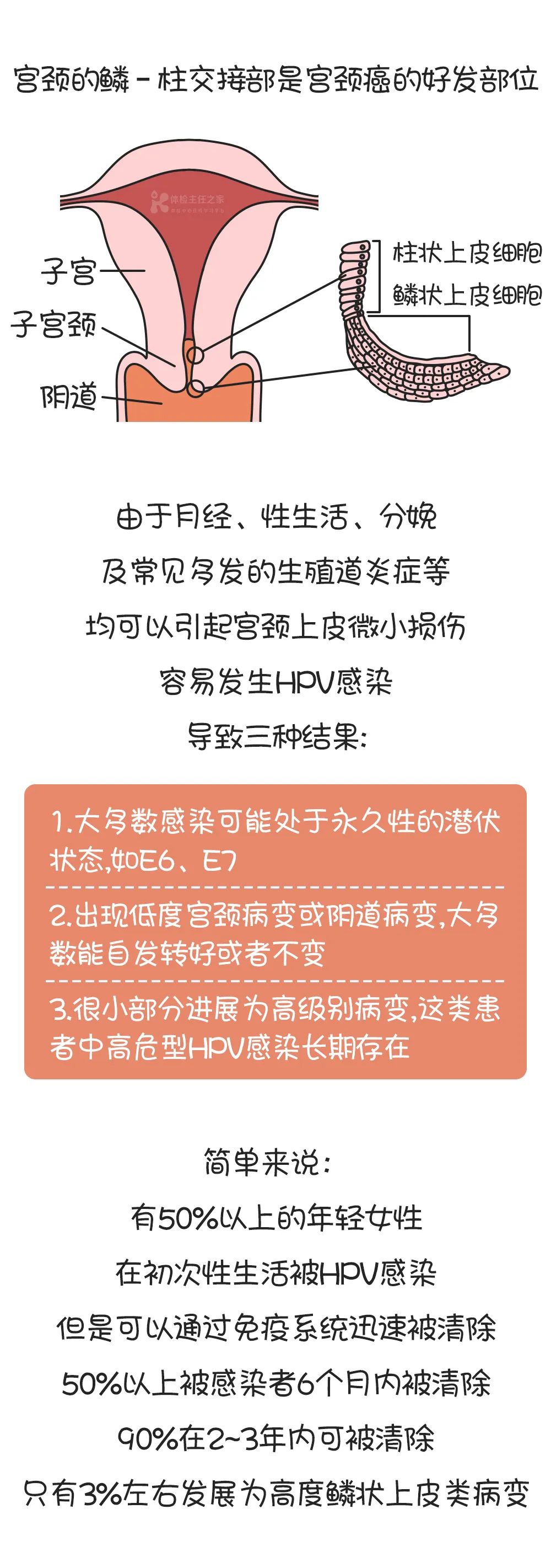 【健康体检科温馨提示】感染了HPV病毒该怎么办？