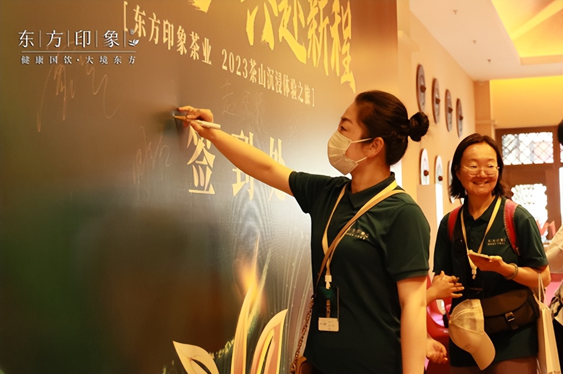 茶山体验之旅,茶山体验活动