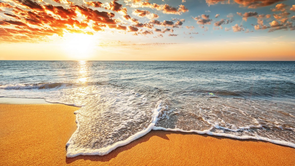 香港的优才引进政策有哪些,香港优才计划2022公告