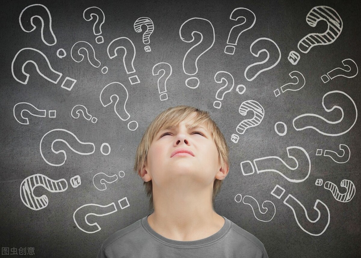 什么龟适合学生养,宿舍的温室龟